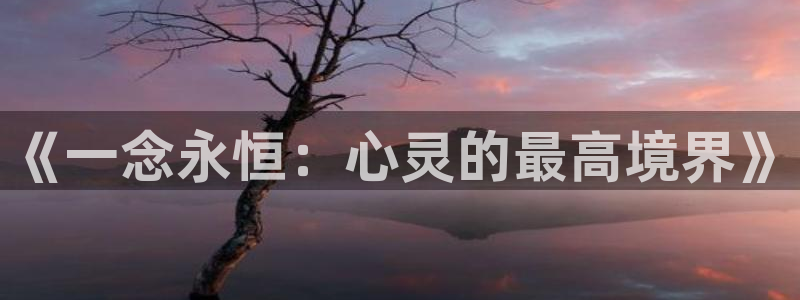 漫蛙漫画下载正版官网版：《一念永恒：心灵的最高境界》