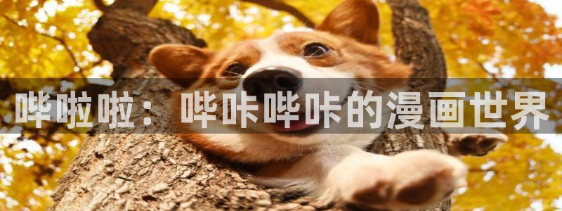 bootywurk漫画漫蛙叫什么：哔啦啦：哔咔哔咔的漫画世界