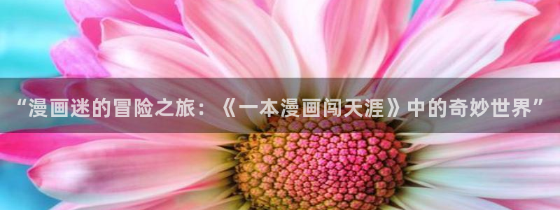 漫蛙漫画官方版正版入口网页链接：“漫画迷的冒险之旅：《一本漫画闯天涯》中的奇妙世界”