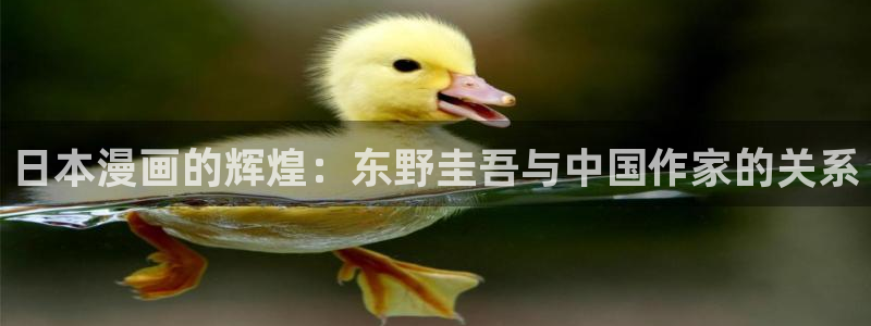 漫蛙2漫画官网app下载：日本漫画的辉煌：东野圭吾与中国作家的关系