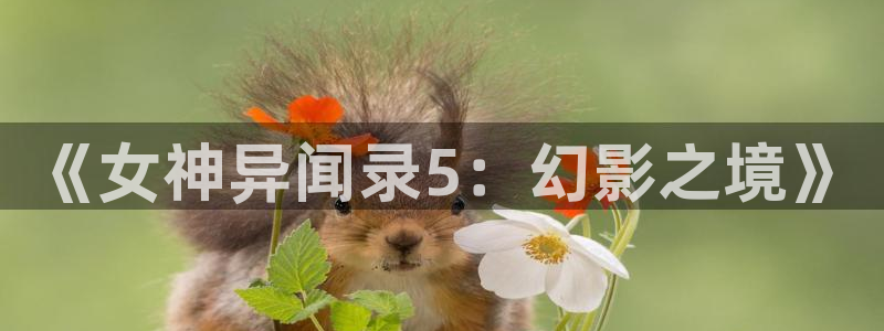 漫蛙腐宅最狂最火的漫画：《女神异闻录5：幻影之境》