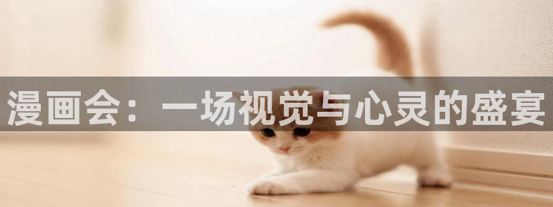 漫蛙哪里下载：漫画会：一场视觉与心灵的盛宴