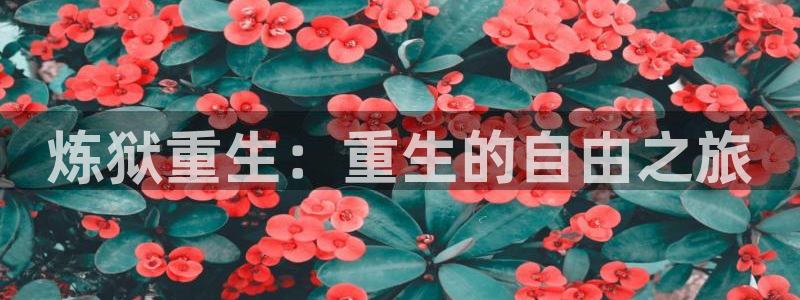 漫蛙2漫：炼狱重生：重生的自由之旅
