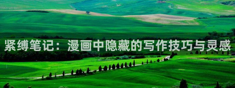 乐漫蛙：紧缚笔记：漫画中隐藏的写作技巧与灵感