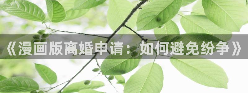 漫蛙2无删减版：《漫画版离婚申请：如何避免纷争》