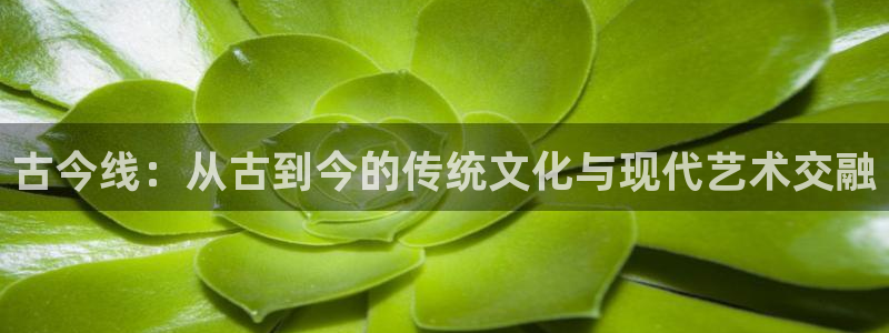 漫蛙manwa官网版入口下载：古今线：从古到今的传统文化与现代艺术交融