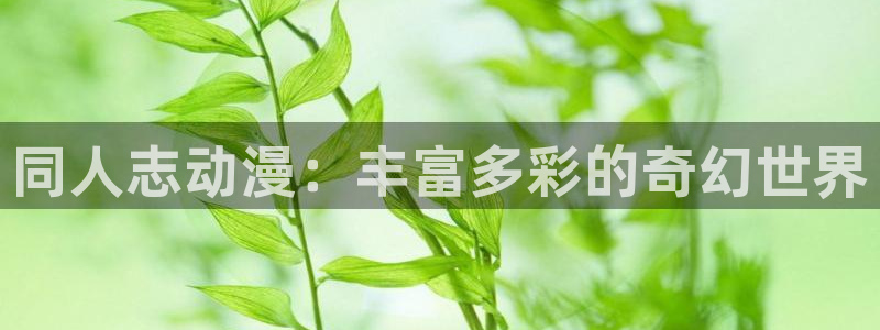 漫蛙动画：同人志动漫：丰富多彩的奇幻世界