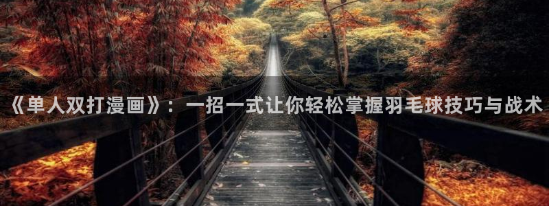 漫蛙怎么登录邮箱：《单人双打漫画》：一招一式让你轻松掌握羽毛球技巧与战术