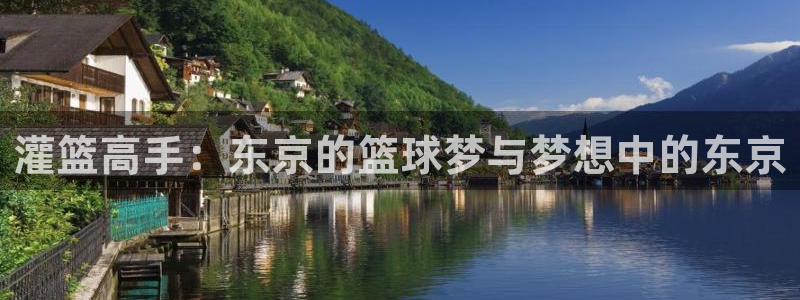 漫蛙防走失页：灌篮高手：东京的篮球梦与梦想中的东京
