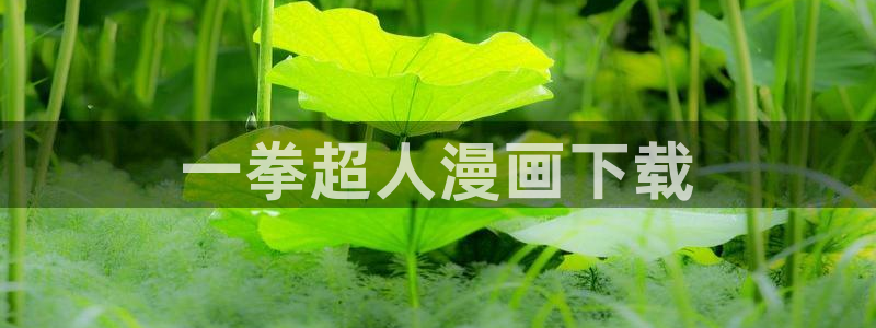 漫蛙官方网站：一拳超人漫画下载