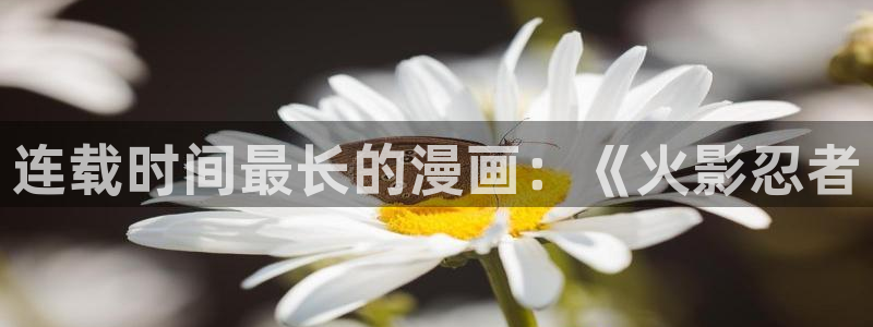 漫蛙漫画官网下载：连载时间最长的漫画：《火影忍者