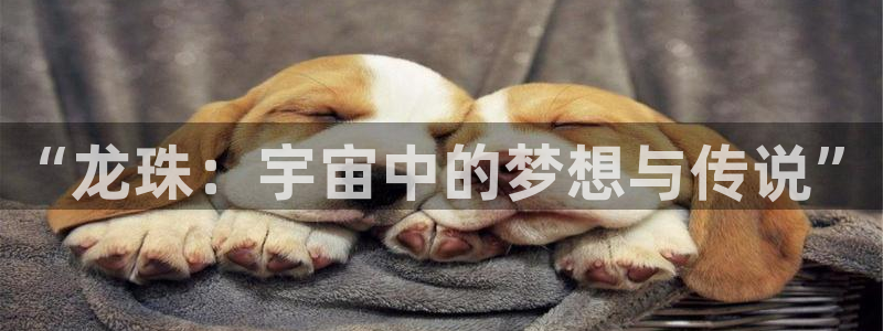 漫蛙有：“龙珠：宇宙中的梦想与传说”