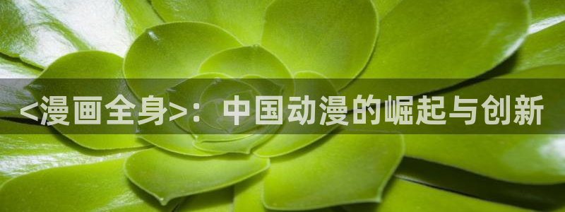 漫蛙2manwa2在线观看：<漫画全身>：中国动漫的崛起与创新