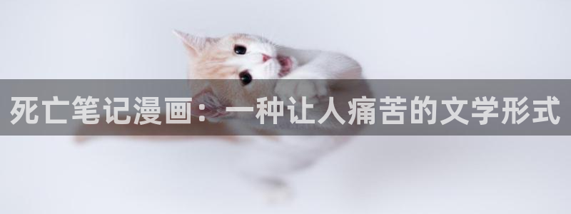 漫蛙2漫画软件：死亡笔记漫画：一种让人痛苦的文学形式