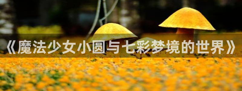香香漫蛙：《魔法少女小圆与七彩梦境的世界》