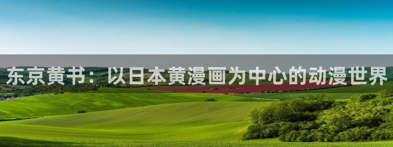 漫蛙非零和博弈：东京黄书：以日本黄漫画为中心的动漫世界